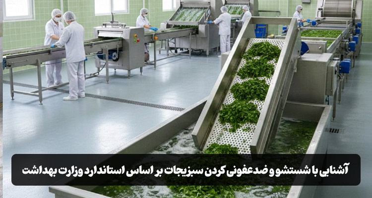 راهنمای شستشوی سبزیجات